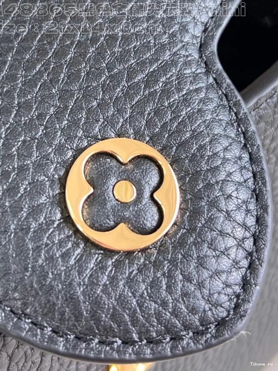 Affordable CAPUCINES MINI-21*14*8CM LOUIS VUITTON 0813